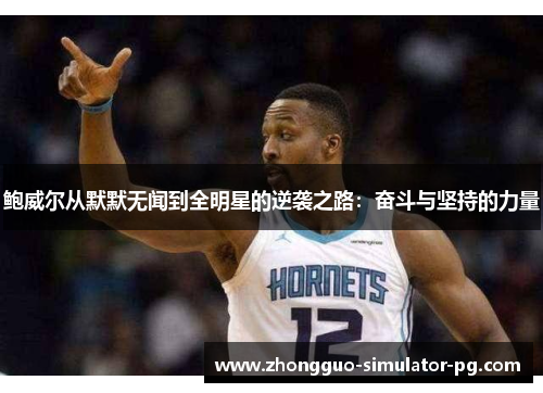 鲍威尔从默默无闻到全明星的逆袭之路：奋斗与坚持的力量