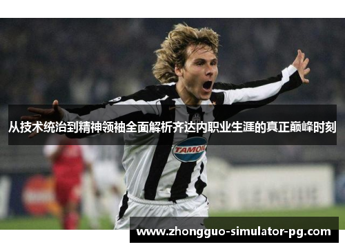 从技术统治到精神领袖全面解析齐达内职业生涯的真正巅峰时刻