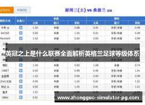 英冠之上是什么联赛全面解析英格兰足球等级体系