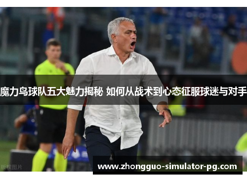 魔力鸟球队五大魅力揭秘 如何从战术到心态征服球迷与对手
