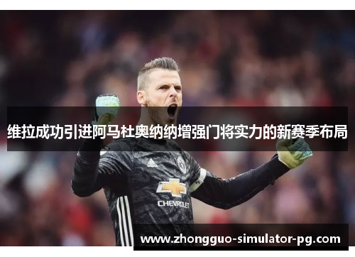 维拉成功引进阿马杜奥纳纳增强门将实力的新赛季布局 维拉成功引进阿马杜奥纳纳增强门将实力的新赛季布局